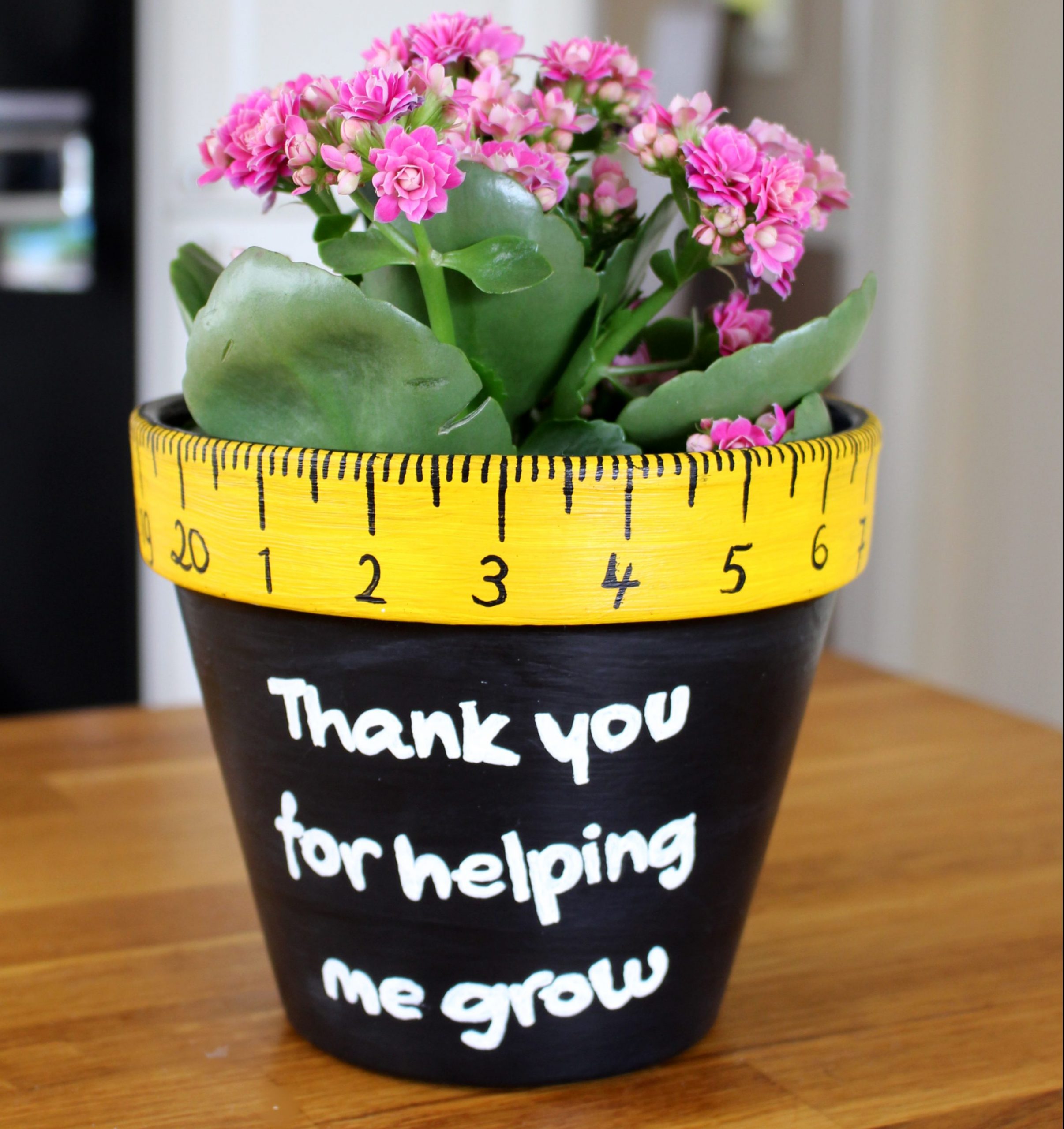 “Thank you” end of year teacher’s gift