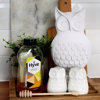 My spray paint owl make-over