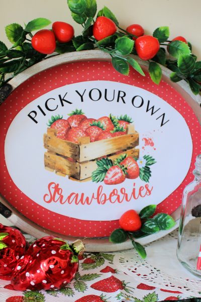 Strawberries-tray-pick-your-own-summer-project